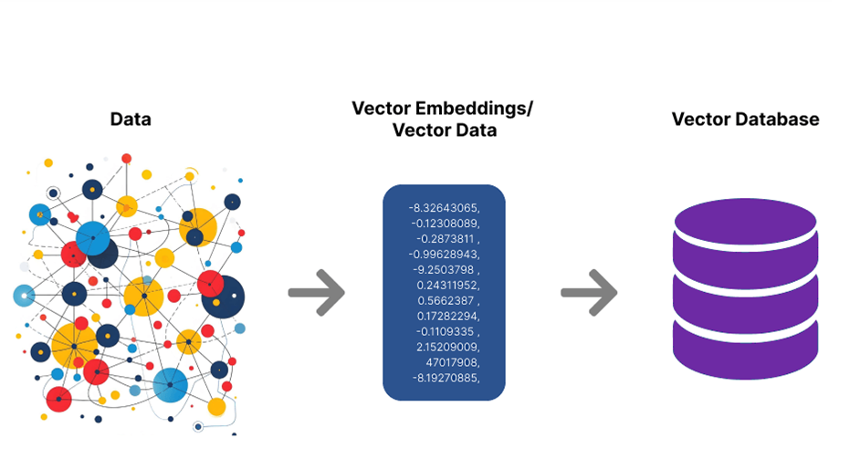 What is Vector Embedding Image